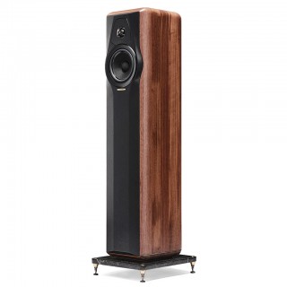 SONUS FABER MAXIMA AMATOR (SUONO)