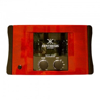 SYNTHESIS METROPOLIS NYC 200I (FDS)