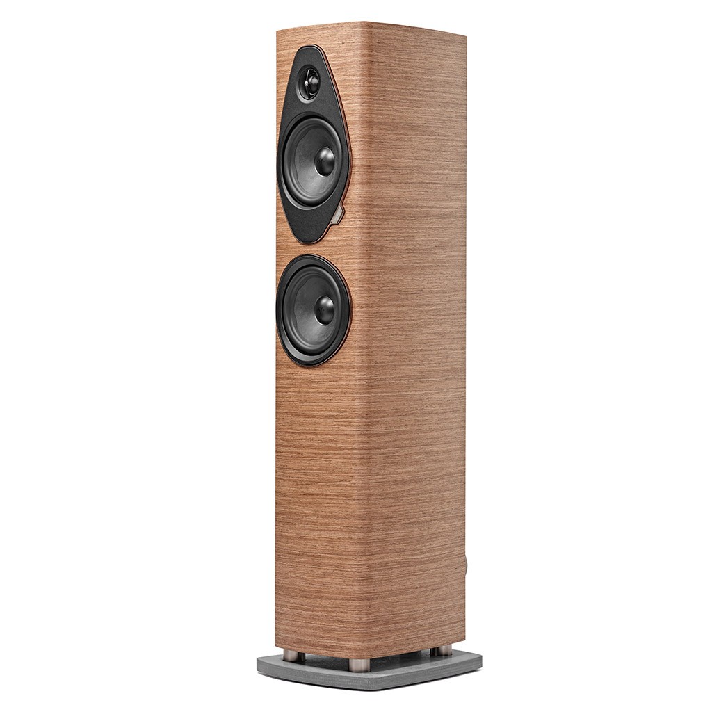 SONETTO III G2 WALNUT