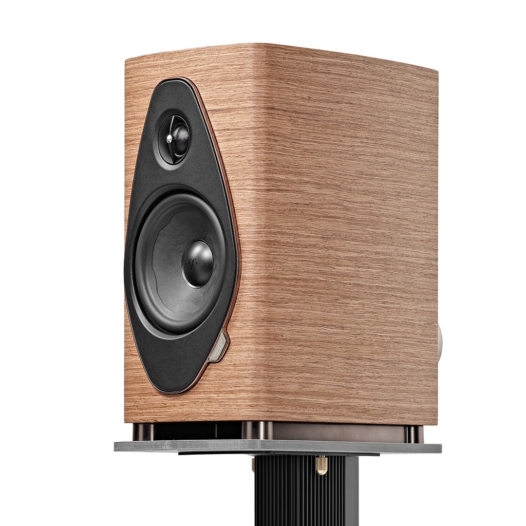 SONETTO II G2 WALNUT